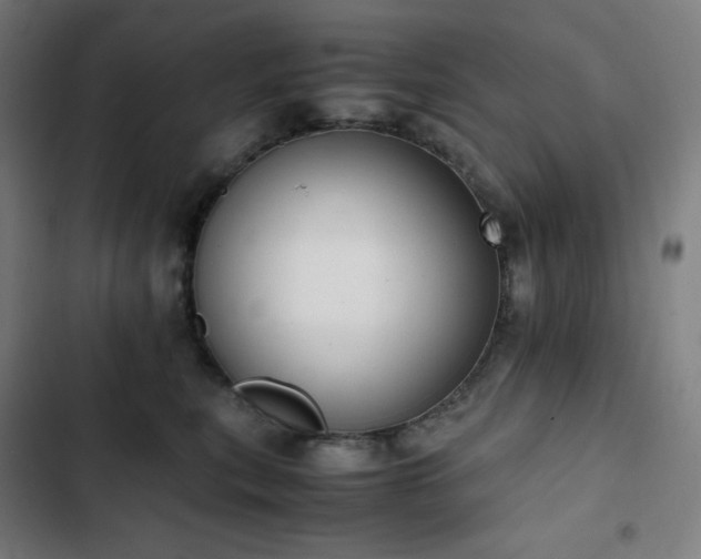 X0000103330567200809051212