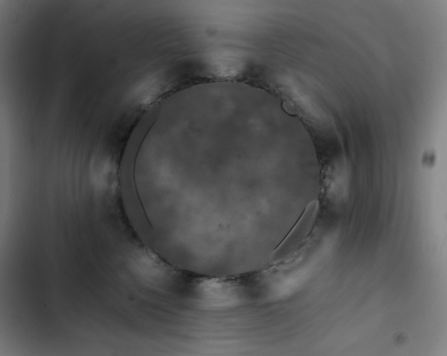 X0000103330568200809051212