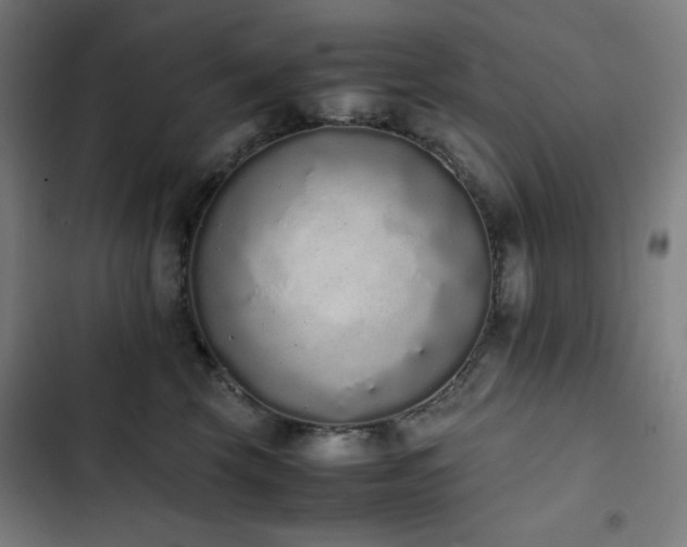 X0000103330569200809051212