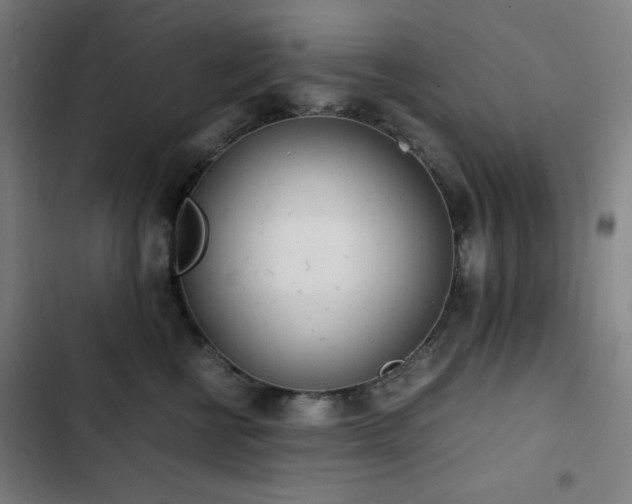 X0000103330570200809051212