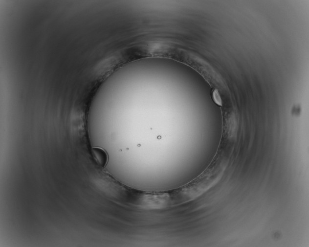 X0000103330571200809051212