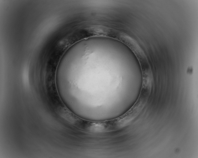 X0000103330573200809051212