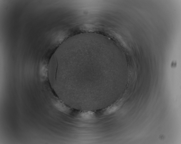 X0000103330576200809051212