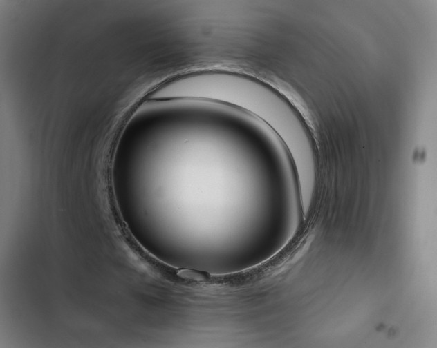 X0000103330577200809051211