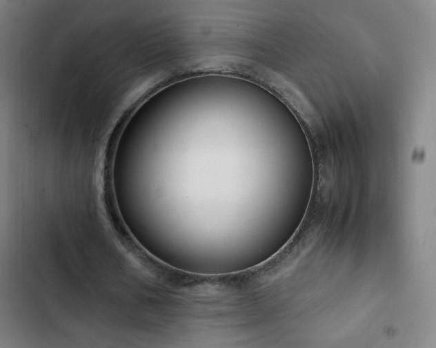 X0000103330578200809051211