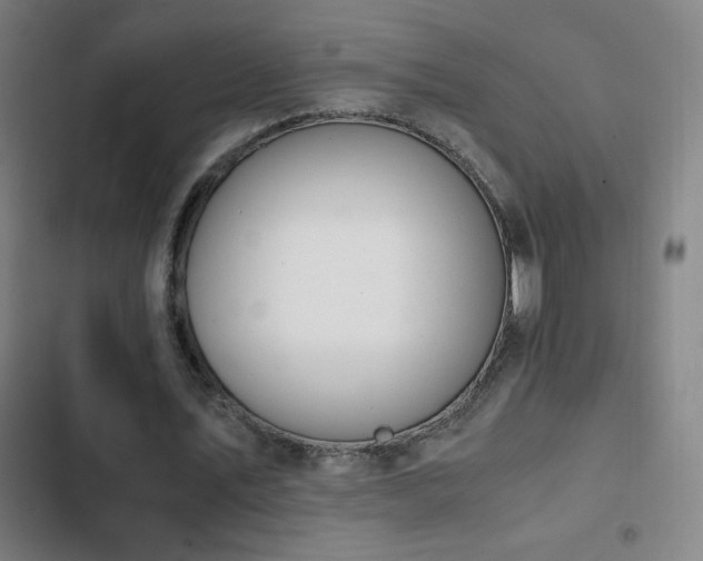 X0000103330579200809051211