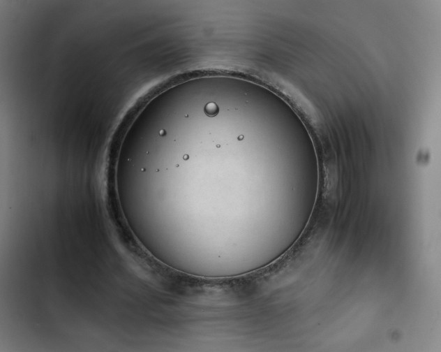 X0000103330580200809051211