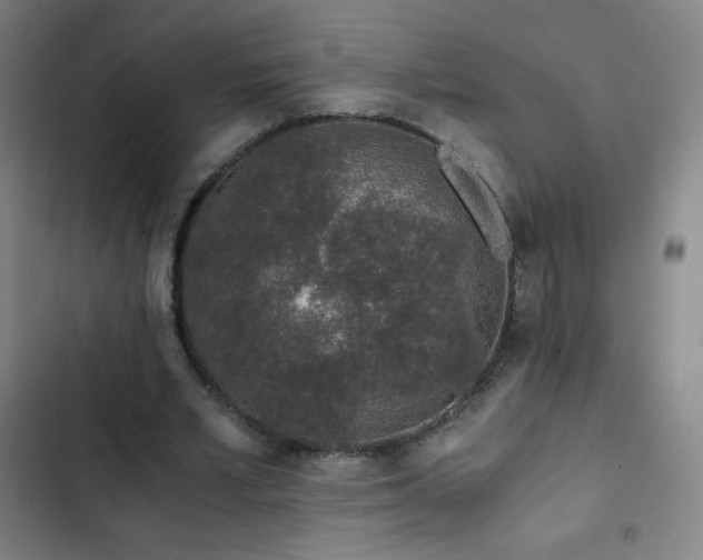 X0000103330581200809051211