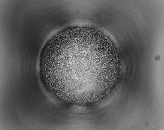 X0000103330582200809051211