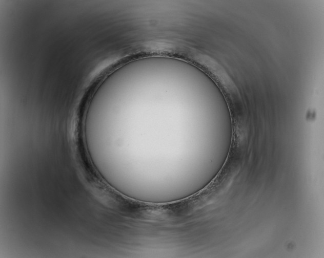 X0000103330583200809051211