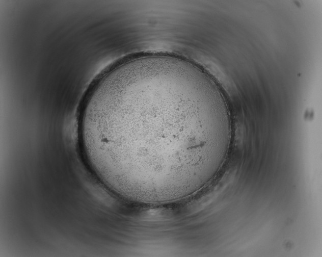 X0000103330584200809051211