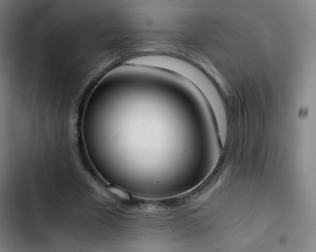 X0000103330585200809051211