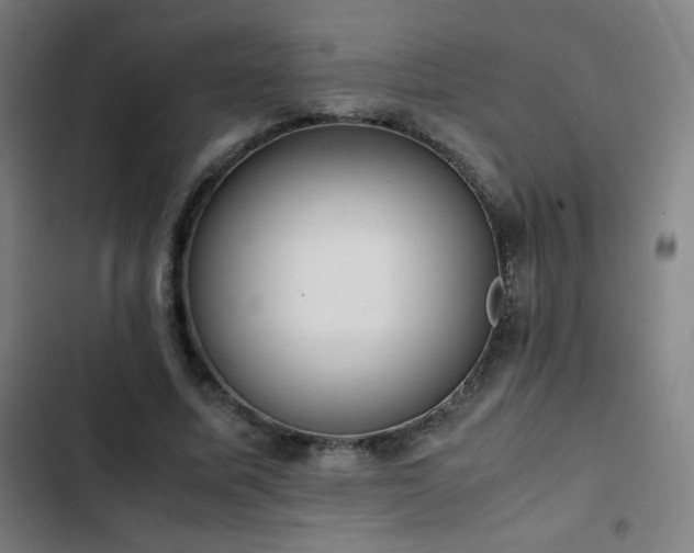 X0000103330587200809051211