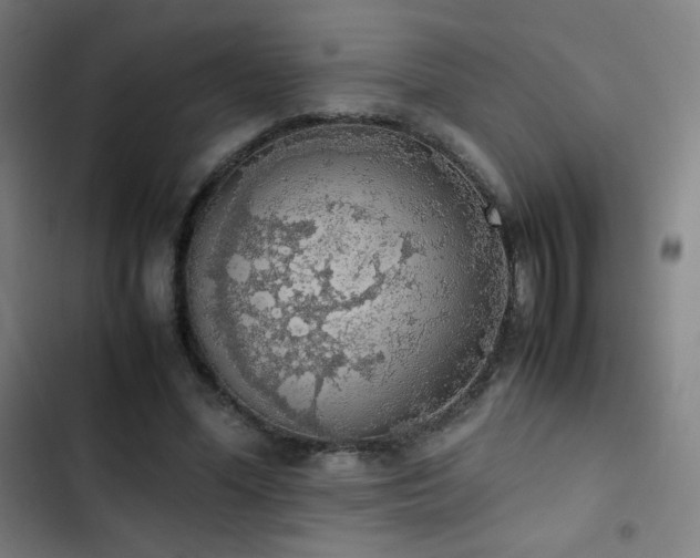 X0000103330588200809051211