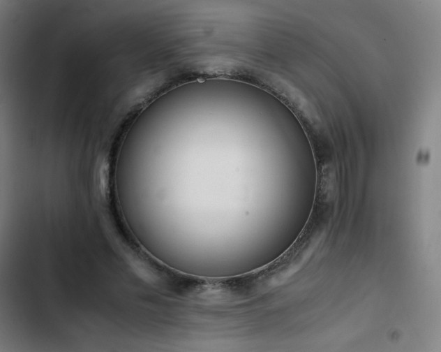 X0000103330589200809051211