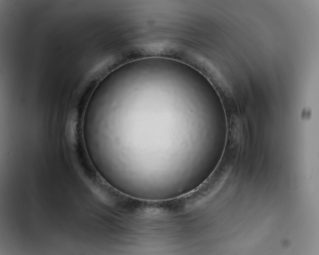 X0000103330590200809051211