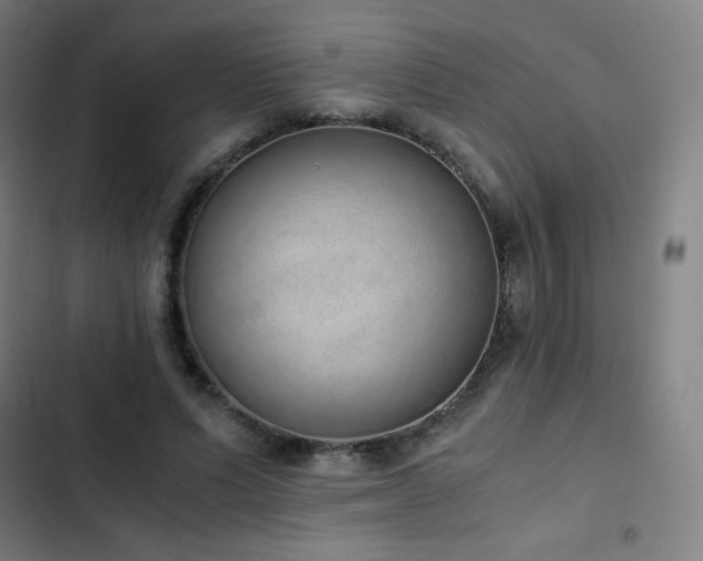 X0000103330591200809051211