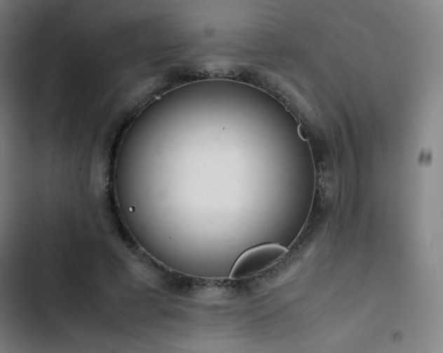 X0000103330593200809051211