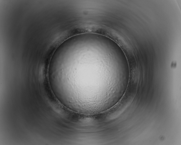 X0000103330594200809051211