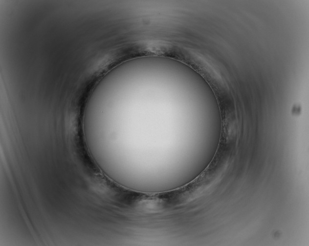 X0000103330595200809051211