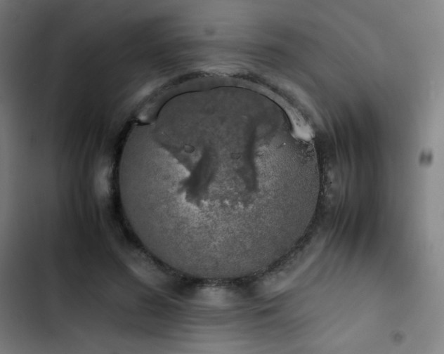 X0000103330596200809051211