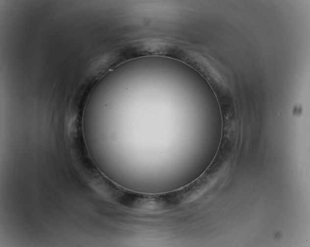 X0000103330597200809051211