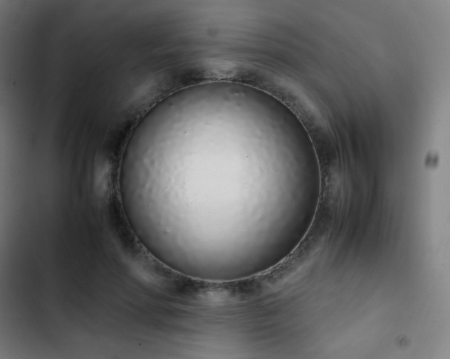 X0000103330598200809051211