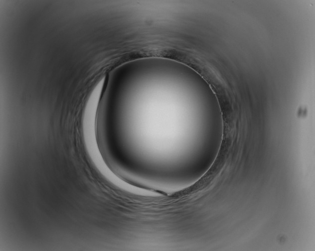 X0000103330599200809051211