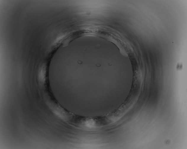 X0000103330600200809051211