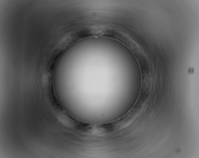 X0000103330601200809051211