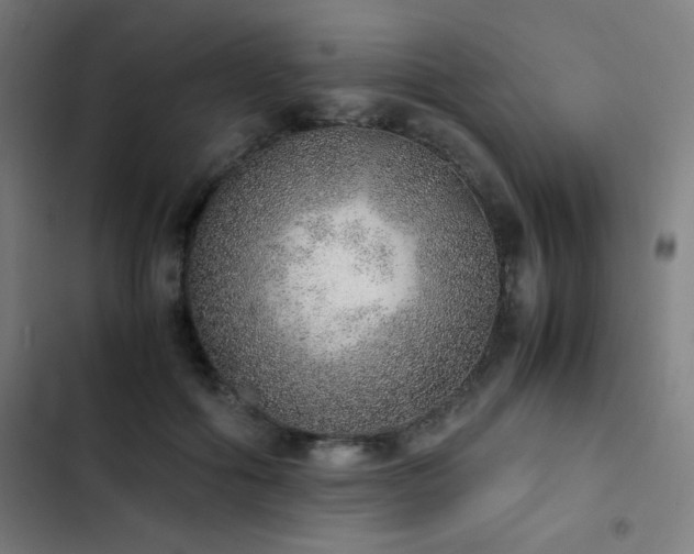 X0000103330602200809051211