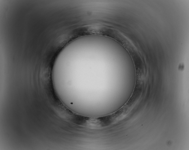 X0000103330603200809051211