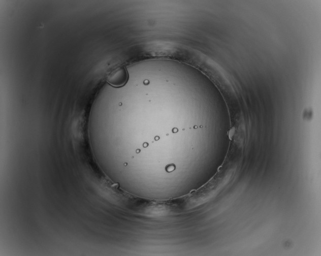 X0000103330604200809051211