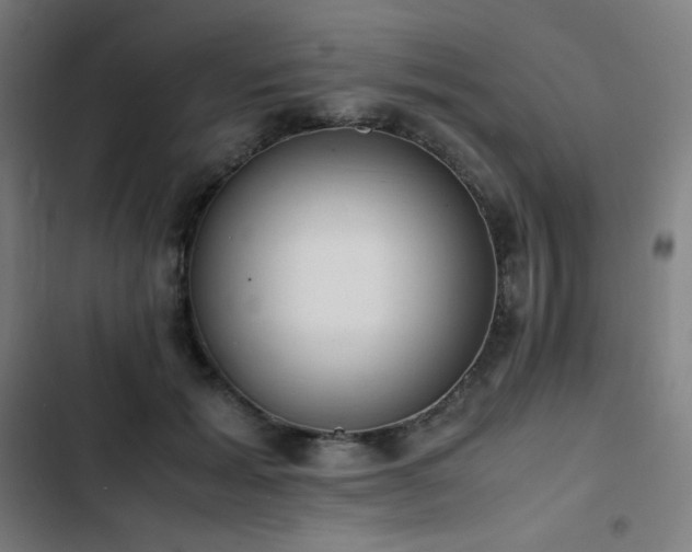 X0000103330605200809051211