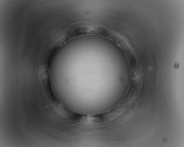 X0000103330607200809051211