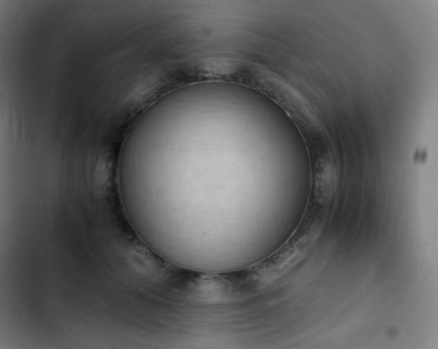 X0000103330608200809051211