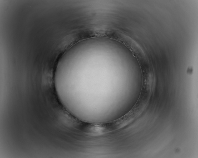 X0000103330610200809051211