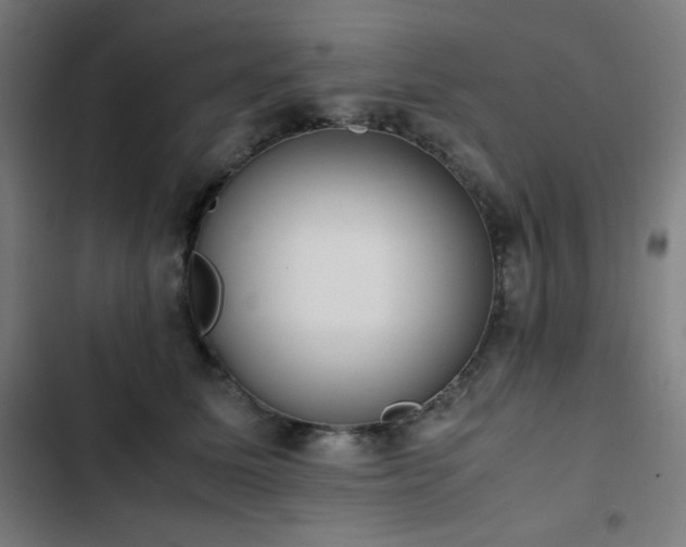 X0000103330611200809051211