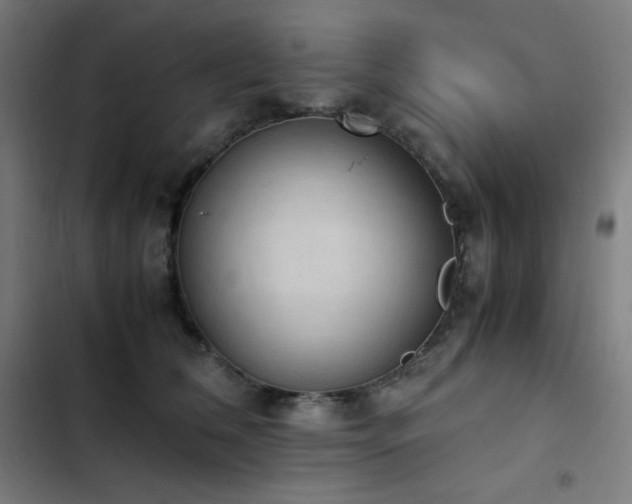 X0000103330612200809051211