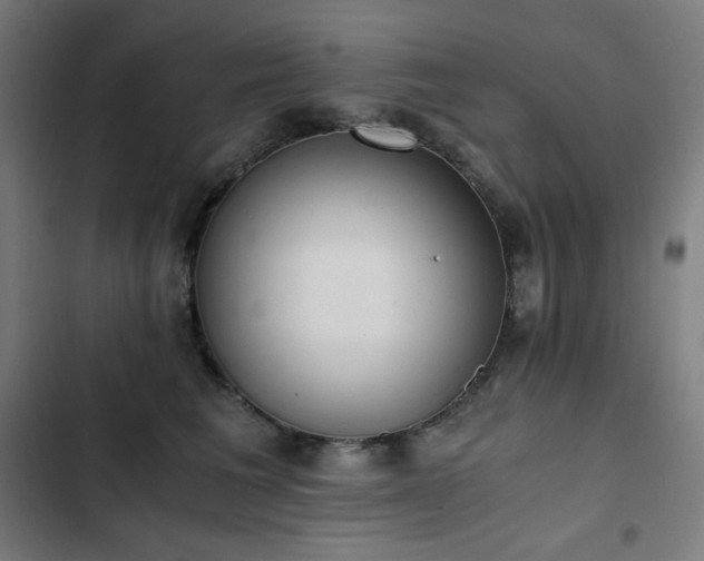 X0000103330613200809051211