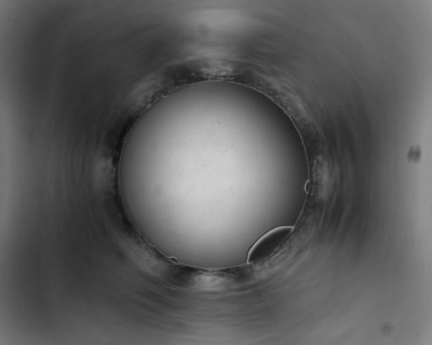 X0000103330614200809051211