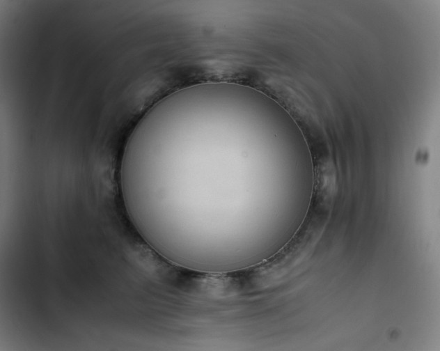 X0000103330615200809051211