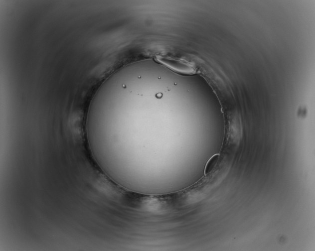 X0000103330616200809051211