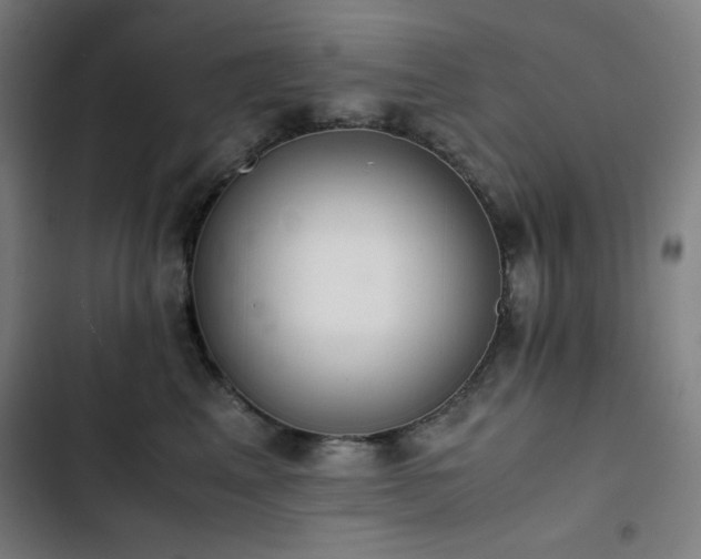 X0000103330617200809051211