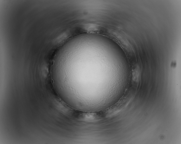 X0000103330618200809051211