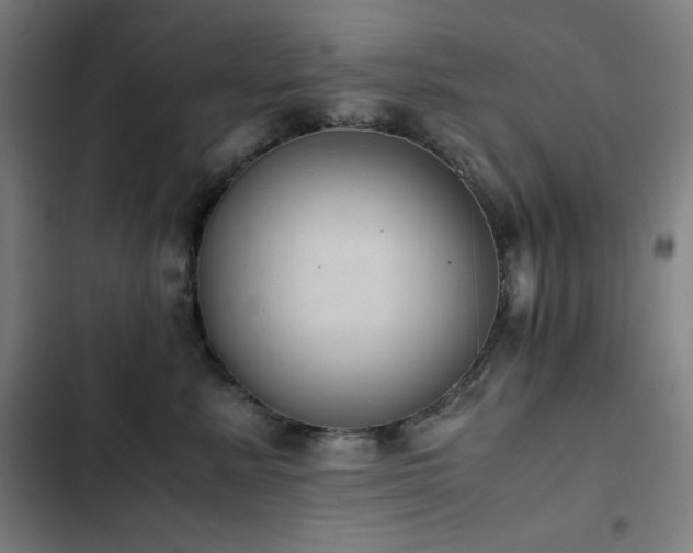 X0000103330619200809051211