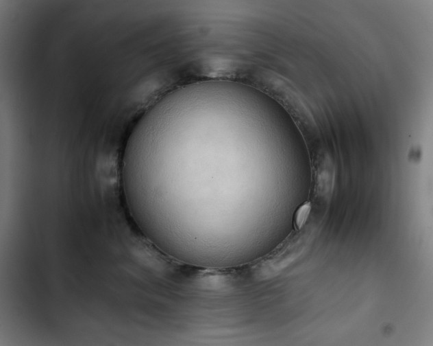 X0000103330620200809051211