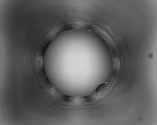 X0000103330621200809051211