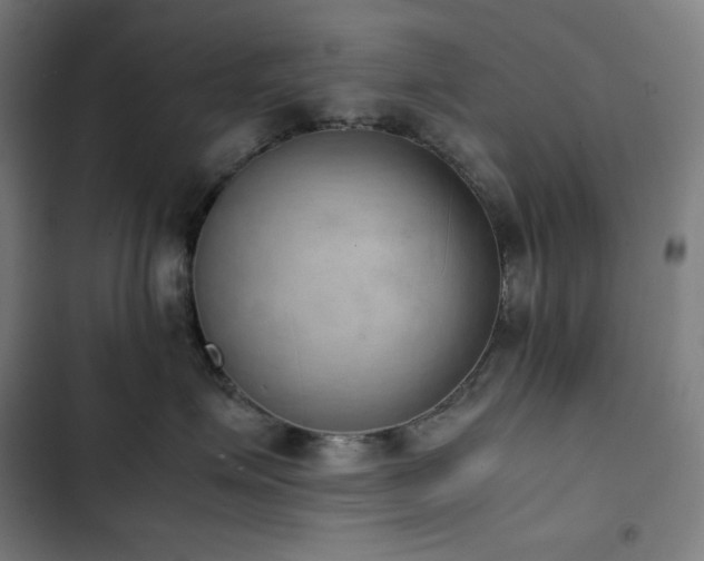 X0000103330623200809051211