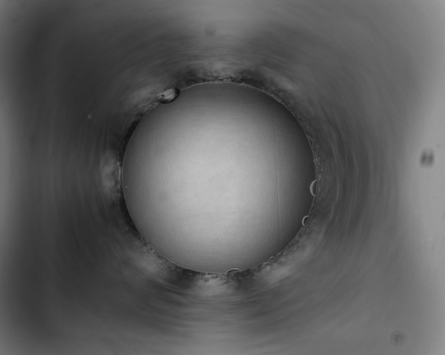 X0000103330624200809051211